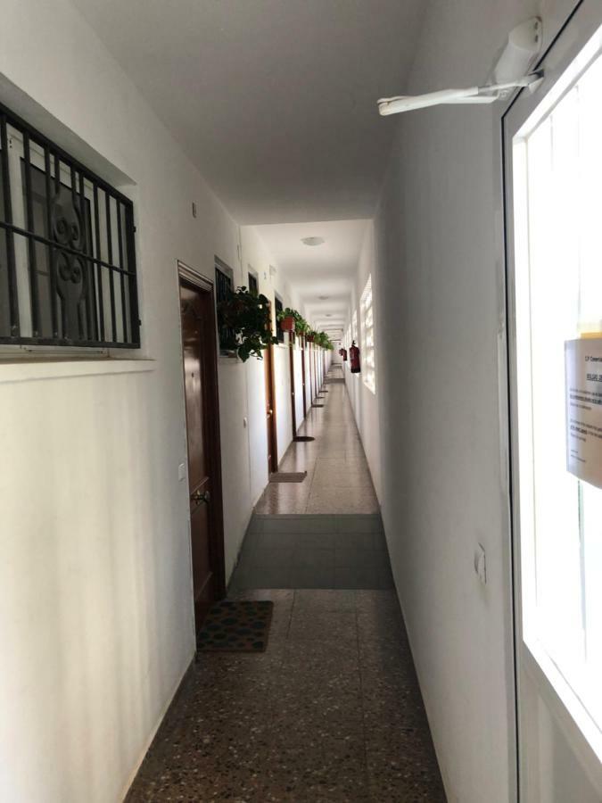 17 Calle Lepanto Lägenhet Benidorm Exteriör bild